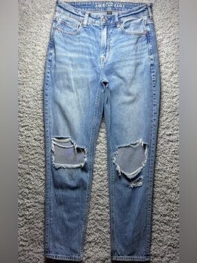 AMERICAN EAGLE Jeans Womens 4 Strigid High Rise Mom Jean Distressed Knee Holes